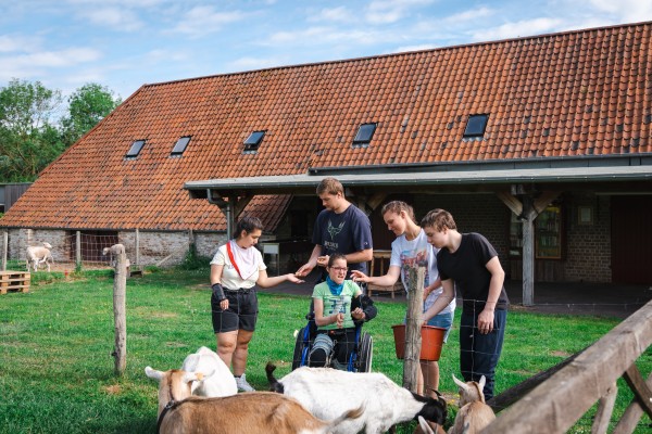 Student Mathias tijdens de stage in Hoeve Hangerijn: Samen met cliënten de dieren voederen.