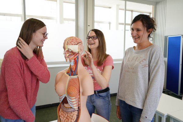 Foto studenten Organisatie en Management met anatomie pop 