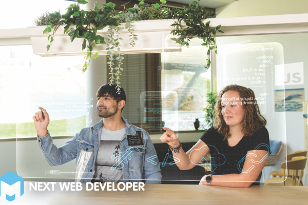 Next Web Developer