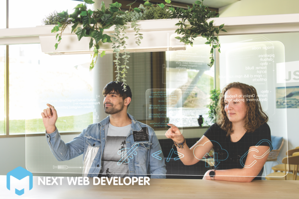 Next Web Developer
