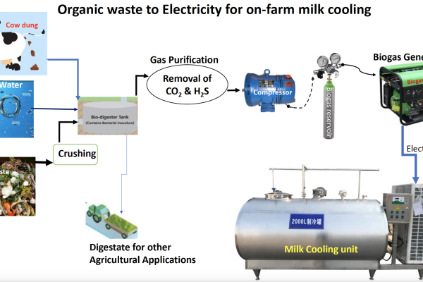 Biogas production for milk cooling at MUARIK (Kabanyoro)
