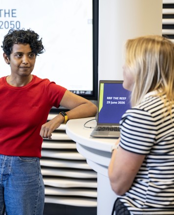 Reef noordzee5