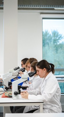 Studenten in leslokaal 