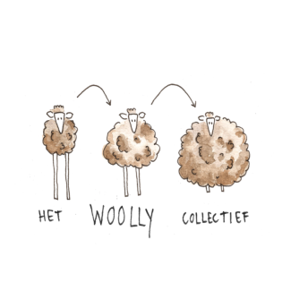 Het Woolly Collectief