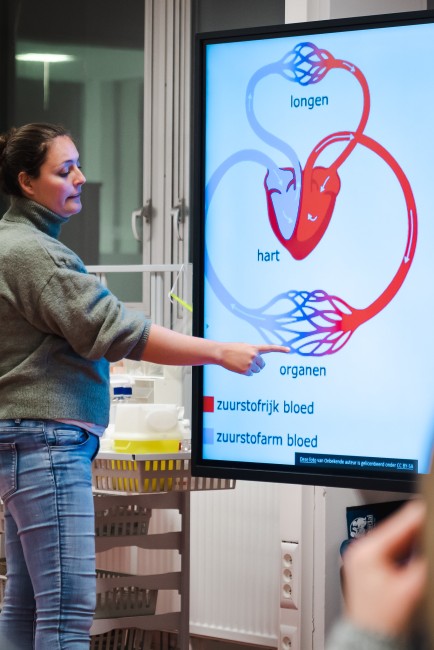 verkorte bachelor secundair onderwijs