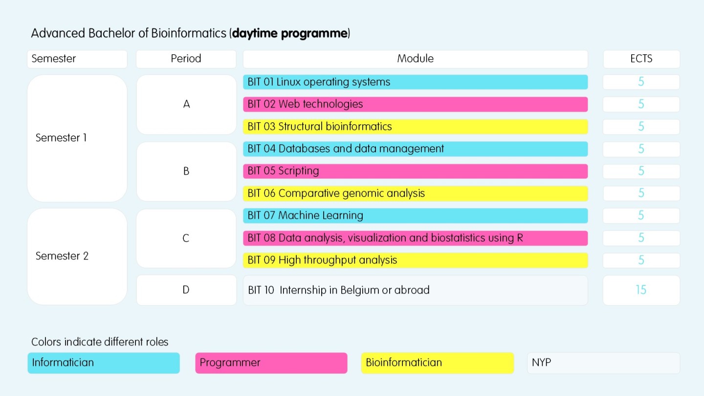 BIT Daytime programme