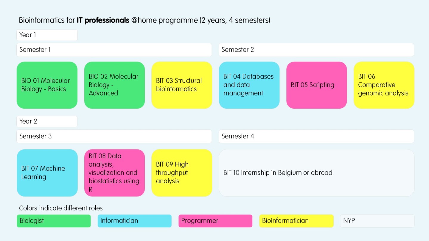 BIT Distance IT programme